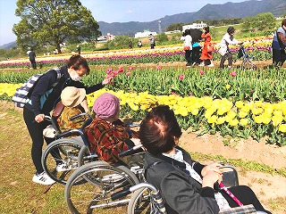 ドライブレク（直方河川敷チューリップ）
